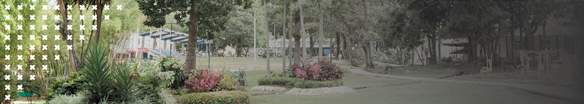 Imagen a manera de banner del campus de Unibagué