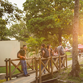 Imagen del campus al lado de la biblioteca Universidad de Ibagué estudiantes dialogando sobre el puente de madera al atardecer